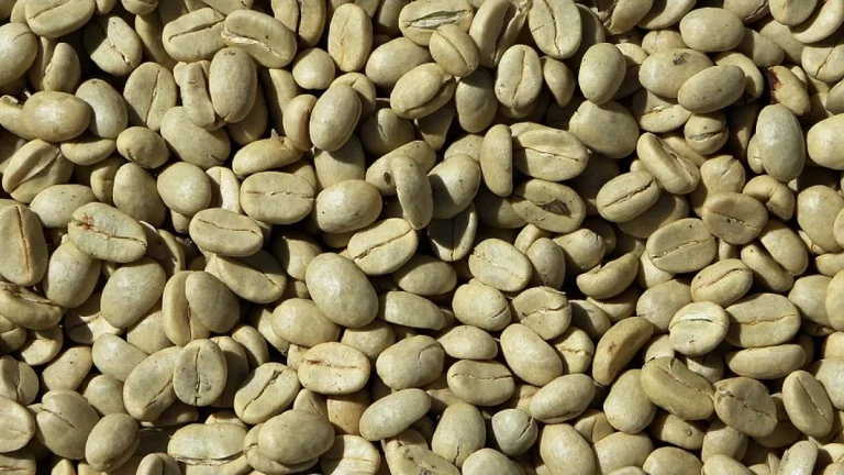 cafe verde wide  1 768x432